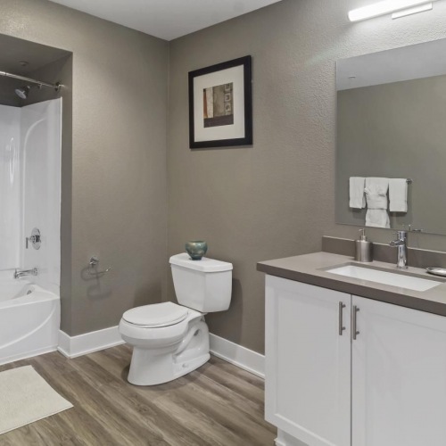 Bathroom options with thoughtful details shower/tub combo in well lit bathroom